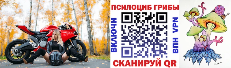 Галлюциногенные грибы прущие грибы  продажа наркотиков  Нариманов 